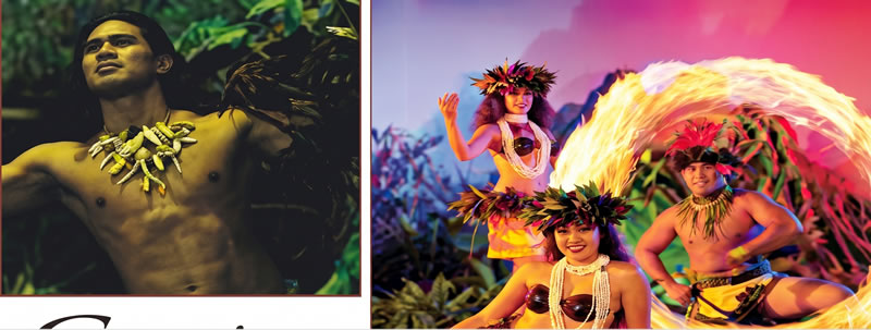 ディナーショー