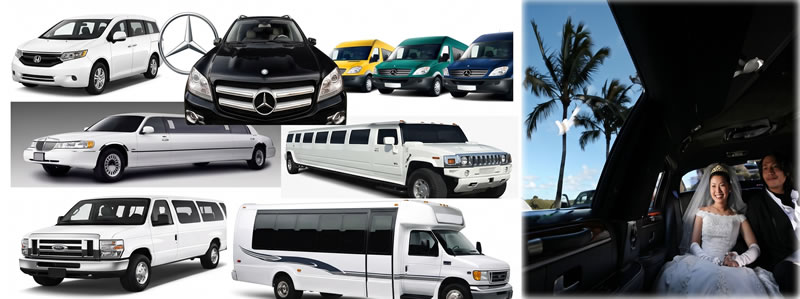 ウエディング(挙式)送迎