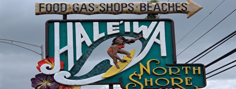 陸のツアー